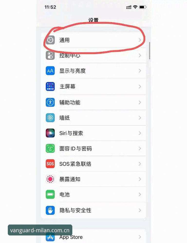 米兰官方app下载后总闪退？老用户手把手教你避开Vanguard J5AT的坑